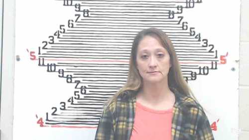 Mugshot of Melissa Faye Lehrbach