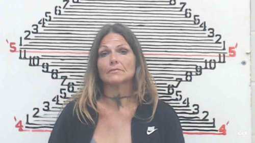 Mugshot of Lisa Helene Morris