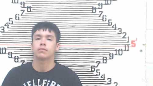 Mugshot of Bobbie Adrian Spomer