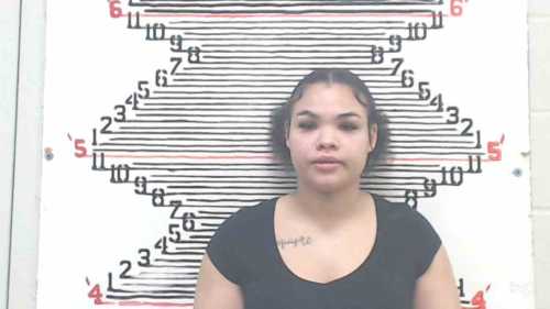 Mugshot of Erika Lynn Edan