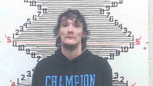 Mugshot of Taylor Scott Long
