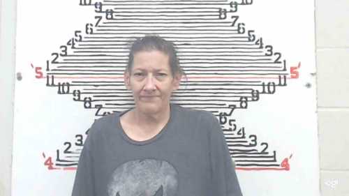 Mugshot of Donna Jean Ramirez