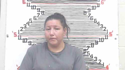 Mugshot of Jane Rebecca Nioce