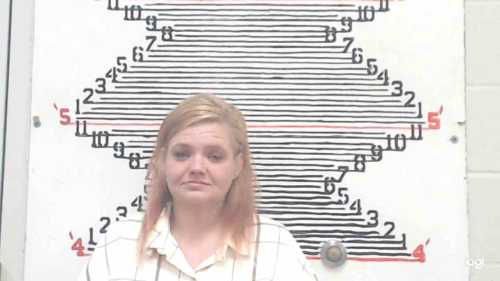 Mugshot of Rachel Erin Schawang