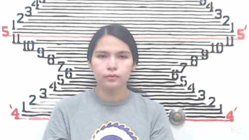 Mugshot of Consualo Anissa Yellowbear