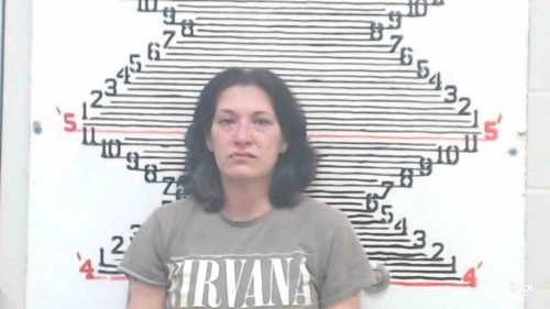 Mugshot of Melissa Suk Fleagle