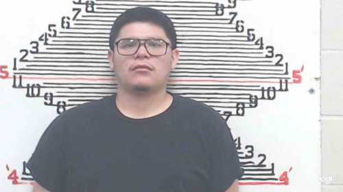 Mugshot of Devin Herbert Thomas Whitebird