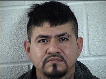 Mugshot of FIDEL PALACIO-ORONA
