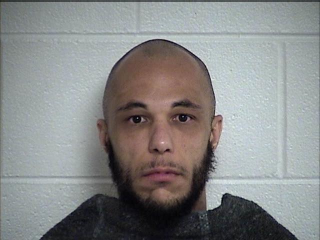 Mugshot of BRETT LEE ROELANDT