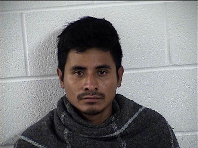 Mugshot of WILSON DONALDO VASQUEZ GUERRA