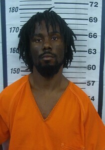Mugshot of LARIS C DOTSON