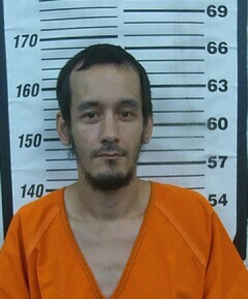 Mugshot of BRIAN A WALKER