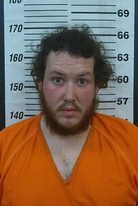 Mugshot of TREVYN C WILLIAMS