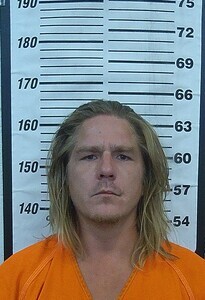 Mugshot of AARON F ELLISON