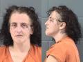 Mugshot of JENNIFER ELAINE BROWN