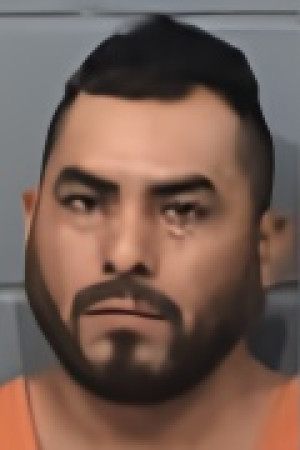 Mugshot of ROBERTO NMN CASTILLO HERNANDEZ