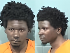 Mugshot of MARCUS IRVING BURROWS