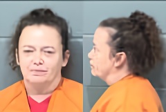 Mugshot of CYNTHIA MARIE LEE