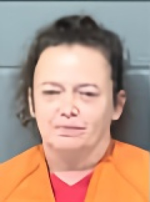 Mugshot of CYNTHIA MARIE LEE