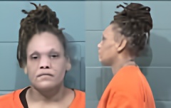Mugshot of DENISE CARIDAD BERRIOS