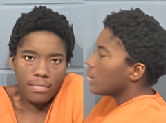 Mugshot of REVAHNAE RONSHA JACKSON