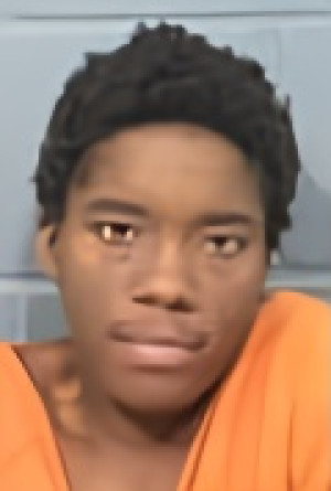 Mugshot of REVAHNAE RONSHA JACKSON