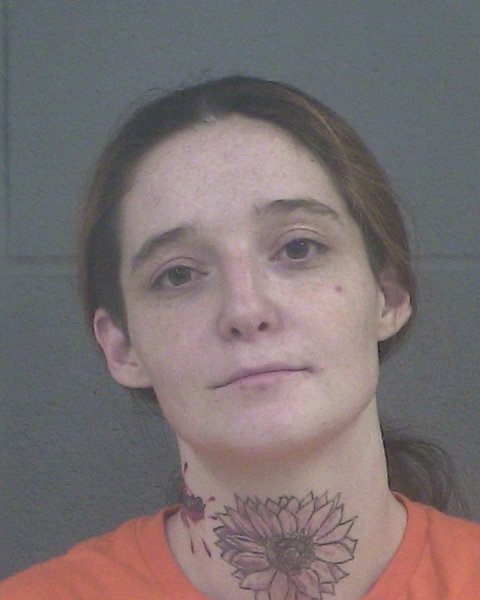 Mugshot of ARIANNA GABRIEL HAYES