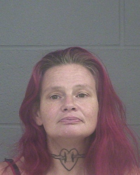 Mugshot of TANA R RICHARDSON