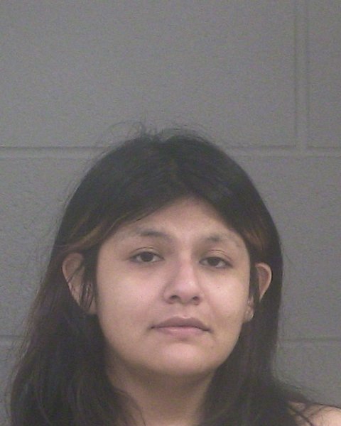 Mugshot of ALI OWENS