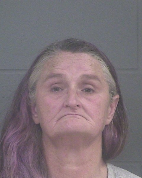 Mugshot of MELISSA DAWN HECTOR