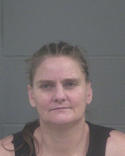 Mugshot of MICHELLE LEANNE STEVENS