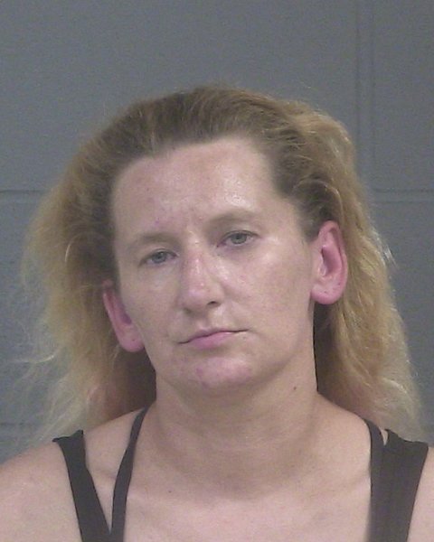 Mugshot of LISA ANN DICK