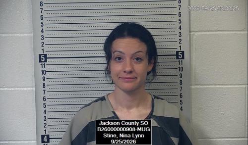 Mugshot of Nina Lynn Stine