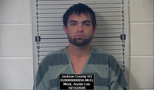 Mugshot of Austin Lee Mock
