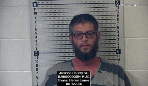 Mugshot of Harley James Evans