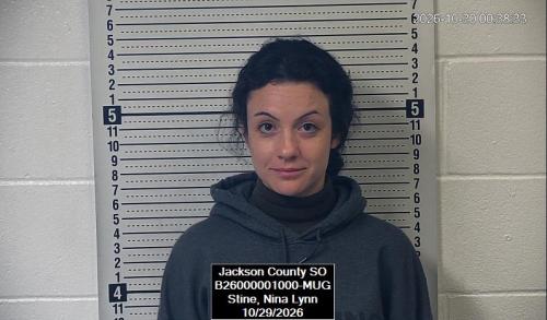 Mugshot of Nina Lynn Stine