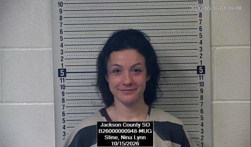 Mugshot of Nina Lynn Stine