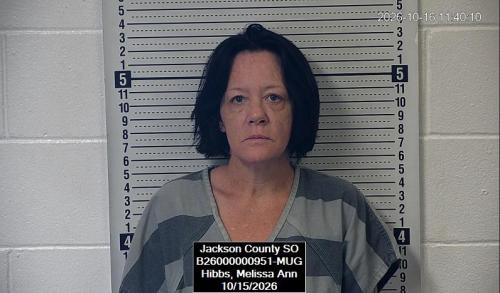 Mugshot of Melissa Ann Hibbs