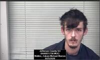 Mugshot of ZAKARY MULLINS
