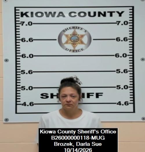 Mugshot of Darla Sue Brozek