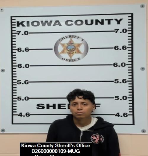 Mugshot of Rojas pina Brian