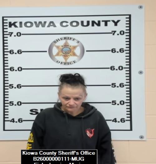 Mugshot of Jessica Marie Fisk