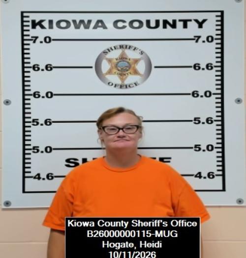 Mugshot of Heidi Hogate