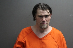 Mugshot of James L Williams