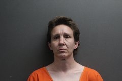 Mugshot of Cindy L Cuddy