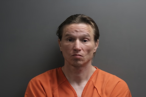 Mugshot of Matthew L Veenstra
