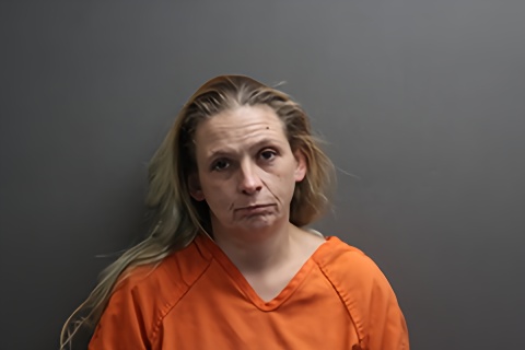 Mugshot of Frankie V Oram