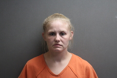 Mugshot of Jessica M Ramey