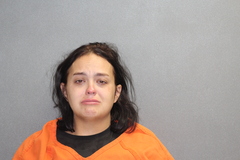 Mugshot of Vanessa S Shrauger