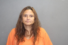 Mugshot of Vanessa R Mcwhirt-martin